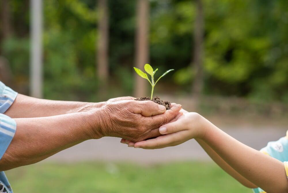 stewardship